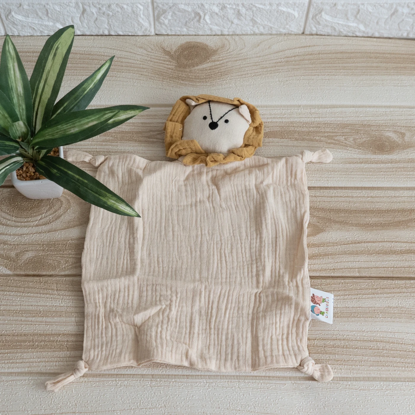doudou gasa verano león