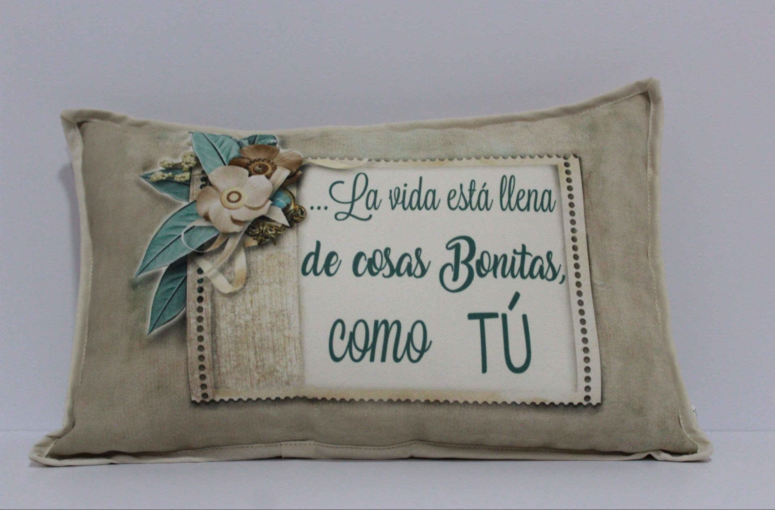 Cojín cosas bonitas